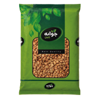 عدس جوانه
